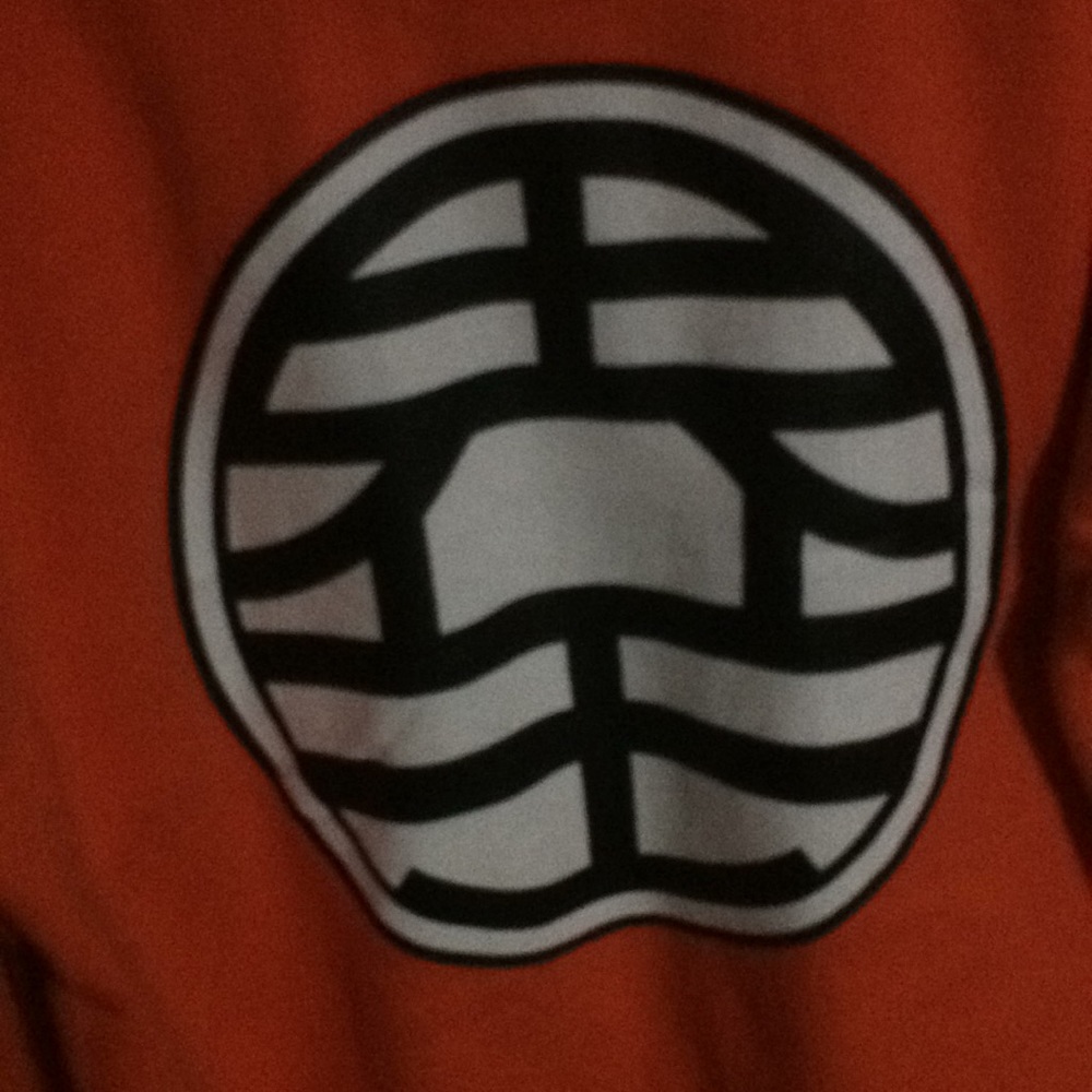 A DBZ style jacket - Picture 2 of 2